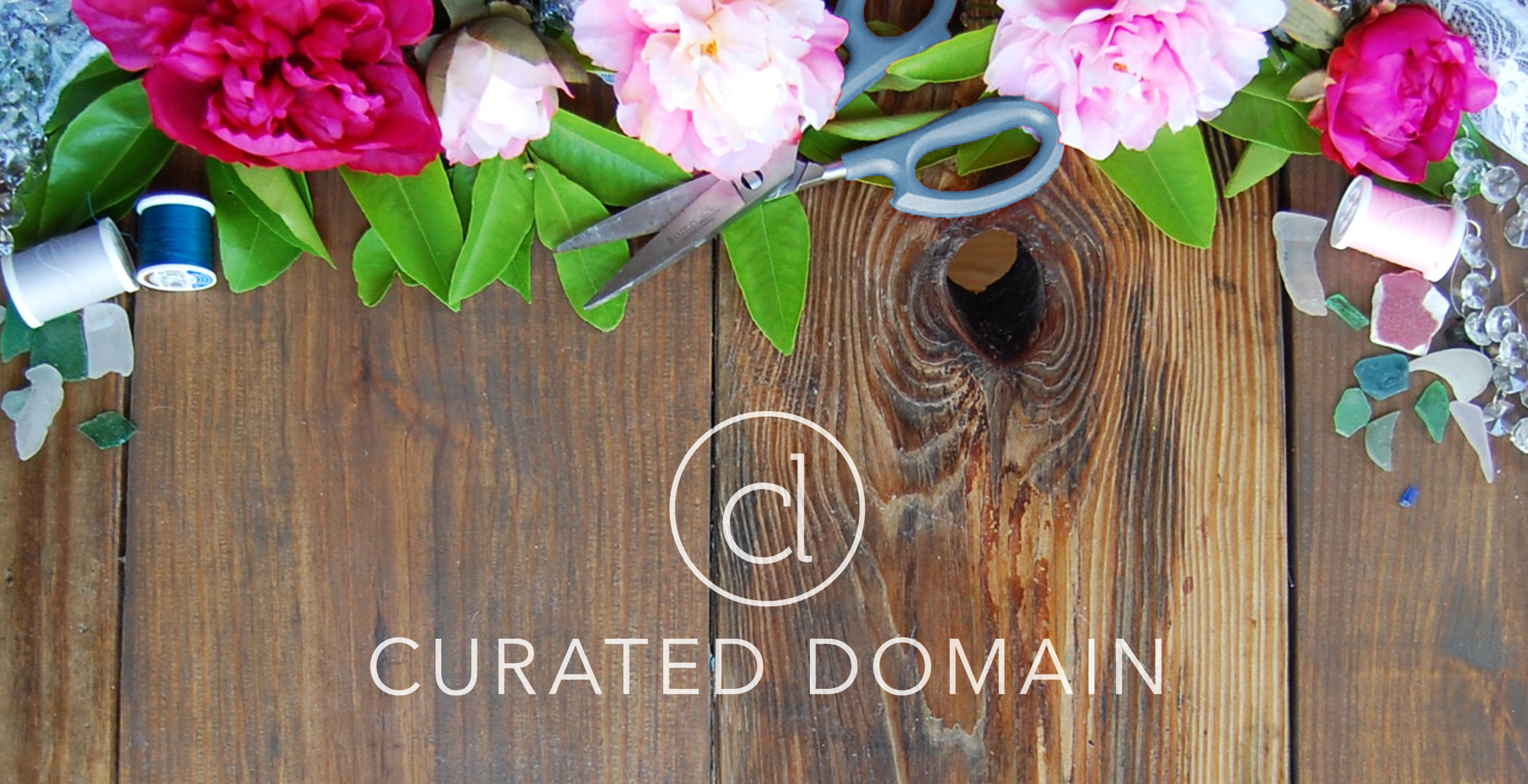 Curated Domain